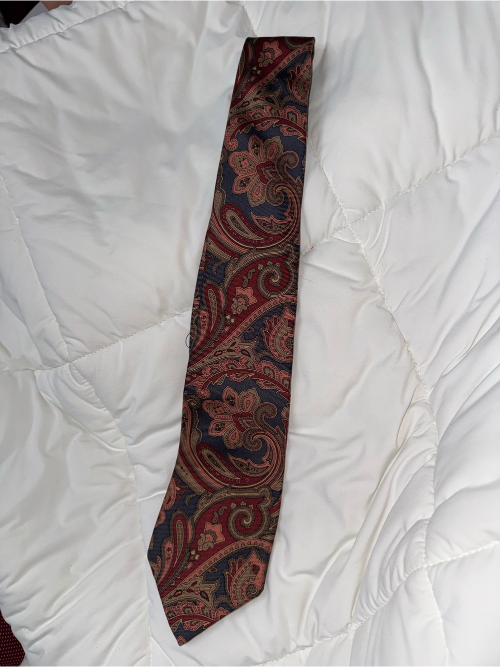 Classic Paisley Silk Tie in Burgundy and Navy - Men Accessories